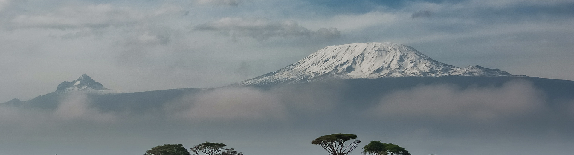 Helping Build a Stronger Tomorrow